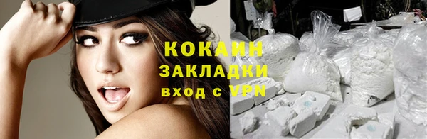 сатива Вязьма