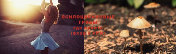 сатива Вязьма