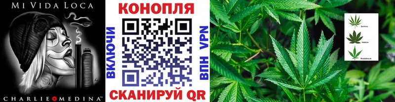 как найти наркотики  Грязовец  ссылка на мегу   Марихуана Amnesia 